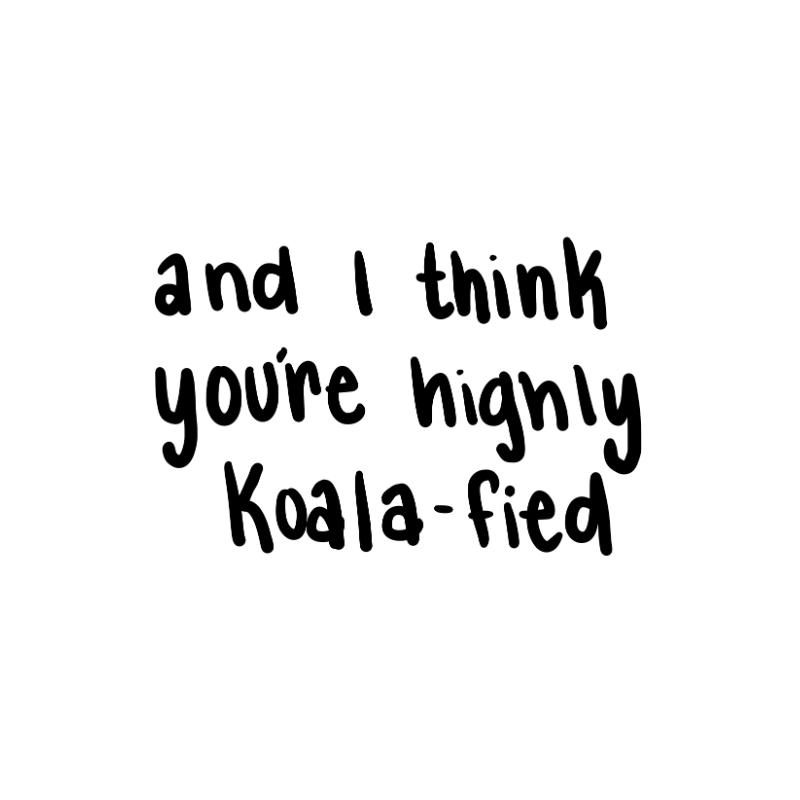 Koala-ty Cuddles